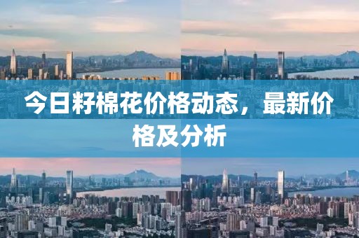 今日籽棉花价格动态，最新价格及分析