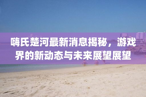 嗨氏楚河最新消息揭秘，游戏界的新动态与未来展望展望