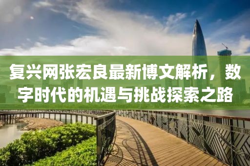 复兴网张宏良最新博文解析，数字时代的机遇与挑战探索之路