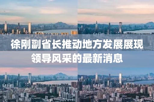 徐刚副省长推动地方发展展现领导风采的最新消息