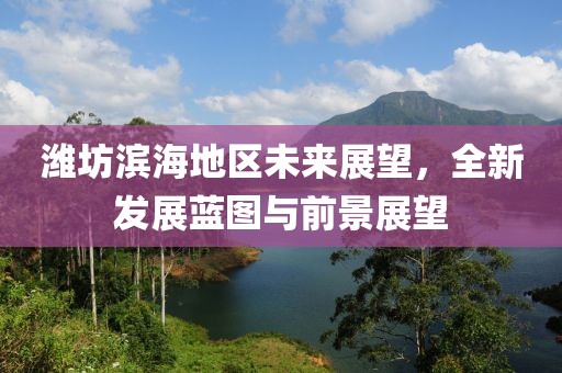 潍坊滨海地区未来展望，全新发展蓝图与前景展望