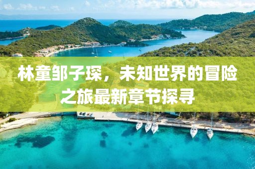林童邹子琛，未知世界的冒险之旅最新章节探寻