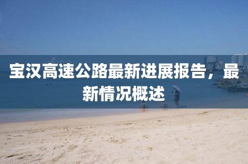 宝汉高速公路最新进展报告，最新情况概述
