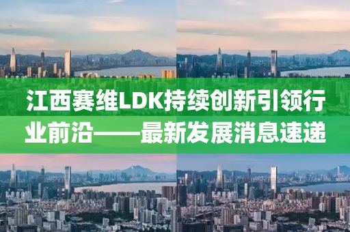 江西赛维LDK持续创新引领行业前沿——最新发展消息速递