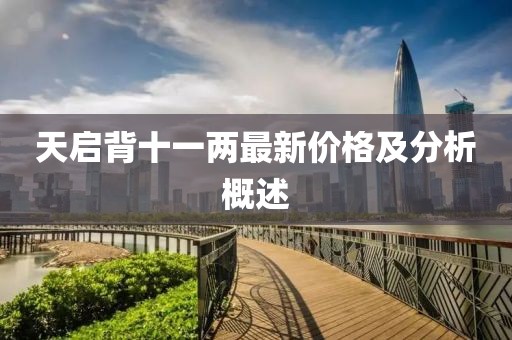 天启背十一两最新价格及分析概述