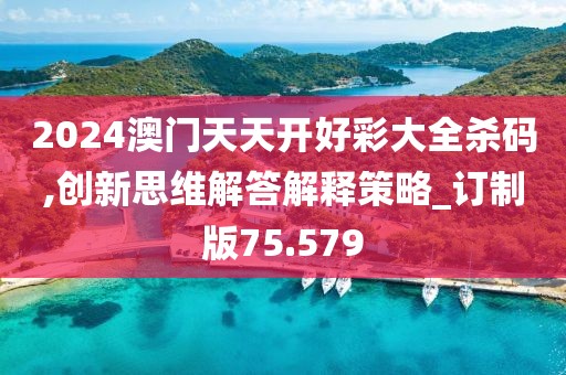 2024澳门天天开好彩大全杀码,创新思维解答解释策略_订制版75.579