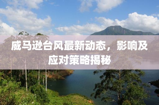 威马逊台风最新动态，影响及应对策略揭秘