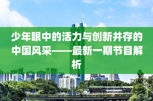 少年眼中的活力与创新并存的中国风采——最新一期节目解析