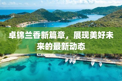 卓锦兰香新篇章，展现美好未来的最新动态