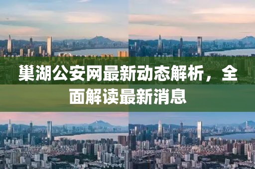 巢湖公安网最新动态解析，全面解读最新消息