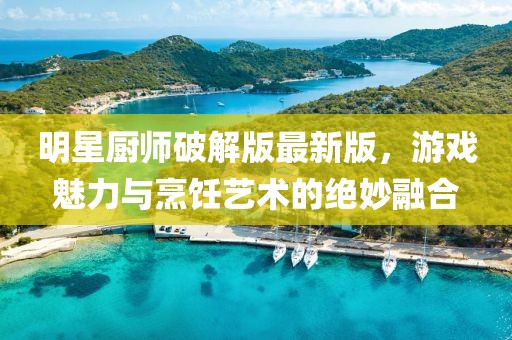 明星厨师破解版最新版，游戏魅力与烹饪艺术的绝妙融合