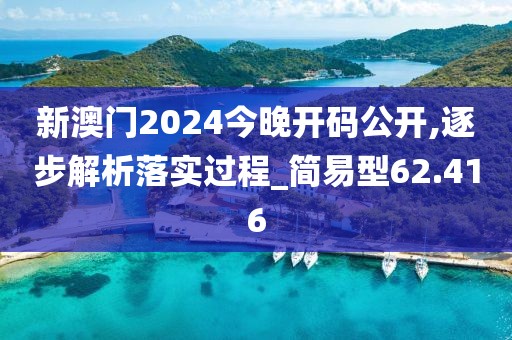 新澳门2024今晚开码公开,逐步解析落实过程_简易型62.416