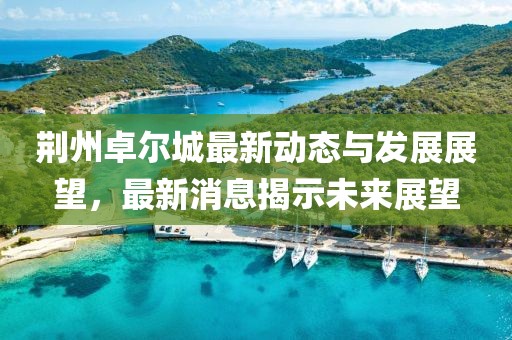 荆州卓尔城最新动态与发展展望，最新消息揭示未来展望