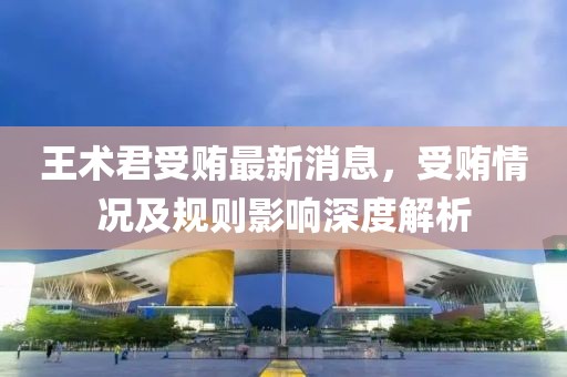 王术君受贿最新消息，受贿情况及规则影响深度解析
