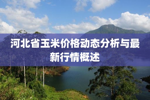 河北省玉米价格动态分析与最新行情概述