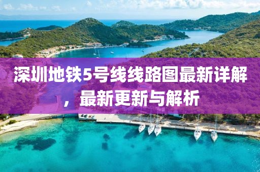 深圳地铁5号线线路图最新详解，最新更新与解析