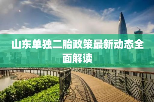 山东单独二胎政策最新动态全面解读