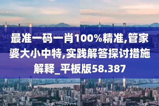 最准一码一肖100%精准,管家婆大小中特,实践解答探讨措施解释_平板版58.387