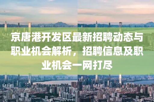 京唐港开发区最新招聘动态与职业机会解析，招聘信息及职业机会一网打尽