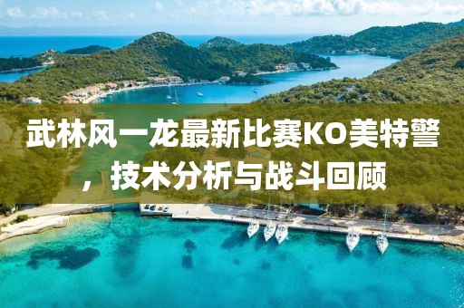 武林风一龙最新比赛KO美特警，技术分析与战斗回顾