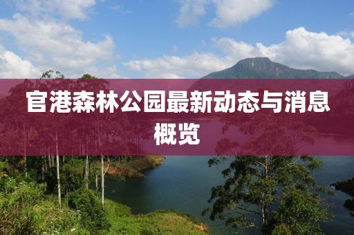 2025年1月 第18页