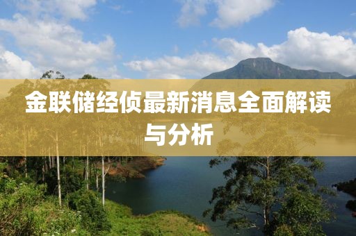 金联储经侦最新消息全面解读与分析
