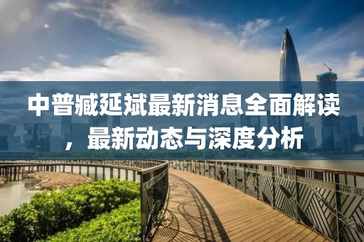 中普臧延斌最新消息全面解读，最新动态与深度分析