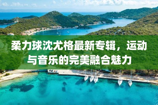 柔力球沈尤格最新专辑，运动与音乐的完美融合魅力