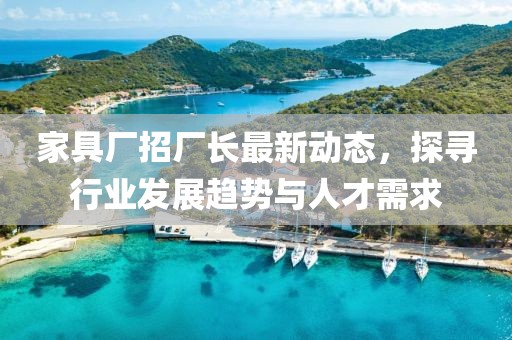 家具厂招厂长最新动态，探寻行业发展趋势与人才需求