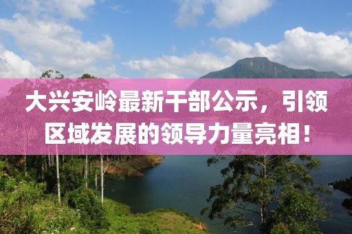 大兴安岭最新干部公示，引领区域发展的领导力量亮相！