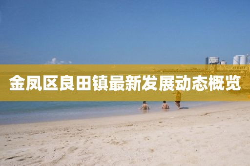 金凤区良田镇最新发展动态概览