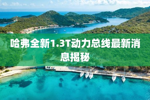 哈弗全新1.3T动力总线最新消息揭秘