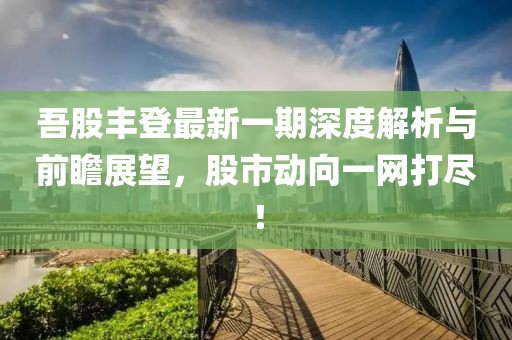 吾股丰登最新一期深度解析与前瞻展望，股市动向一网打尽！