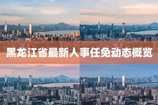黑龙江省最新人事任免动态概览
