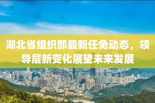 湖北省组织部最新任免动态，领导层新变化展望未来发展