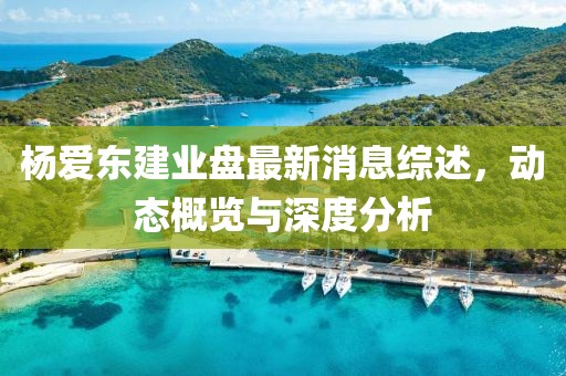 杨爱东建业盘最新消息综述，动态概览与深度分析