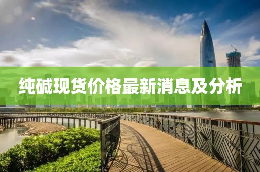 纯碱现货价格最新消息及分析