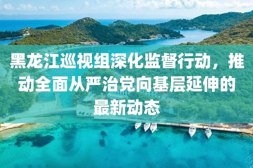 黑龙江巡视组深化监督行动，推动全面从严治党向基层延伸的最新动态