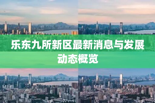 乐东九所新区最新消息与发展动态概览