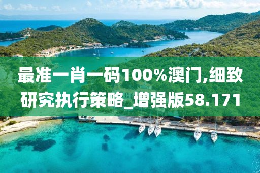 最准一肖一码100%澳门,细致研究执行策略_增强版58.171