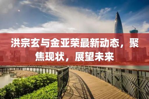 洪宗玄与金亚荣最新动态，聚焦现状，展望未来