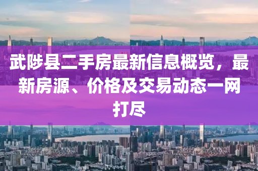 辣条协会会长 第19页