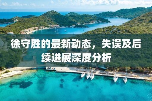 徐守胜的最新动态，失误及后续进展深度分析