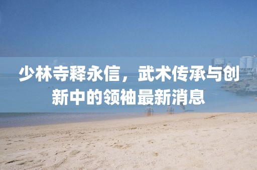 少林寺释永信，武术传承与创新中的领袖最新消息