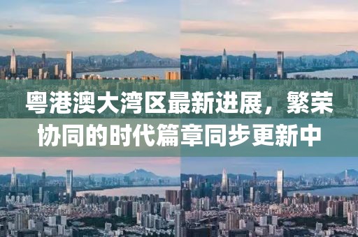 粤港澳大湾区最新进展，繁荣协同的时代篇章同步更新中