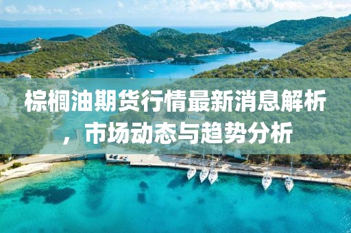 棕榈油期货行情最新消息解析，市场动态与趋势分析