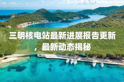 三明核电站最新进展报告更新，最新动态揭秘