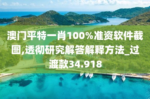 澳门平特一肖100%准资软件截图,透彻研究解答解释方法_过渡款34.918