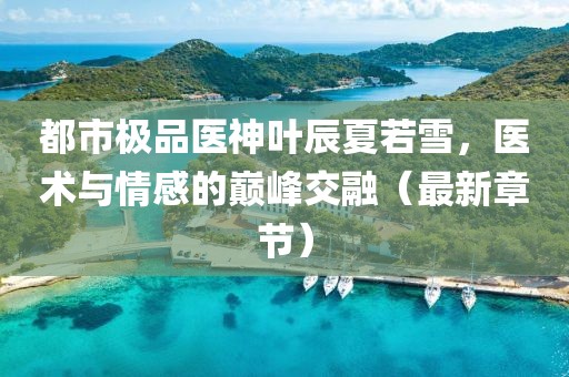都市极品医神叶辰夏若雪，医术与情感的巅峰交融（最新章节）