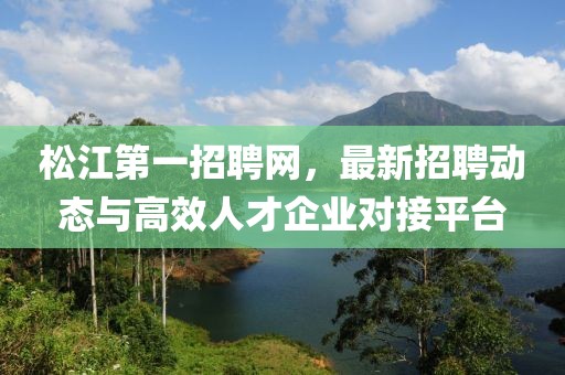 松江第一招聘网，最新招聘动态与高效人才企业对接平台